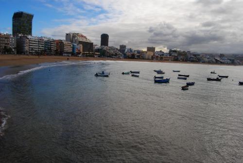 Lavanda Playa