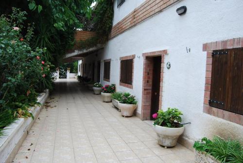 Apartamentos Les Moreres