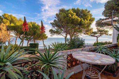 Les Tonyines 68 Apartamento Con Vistas Y Terraza