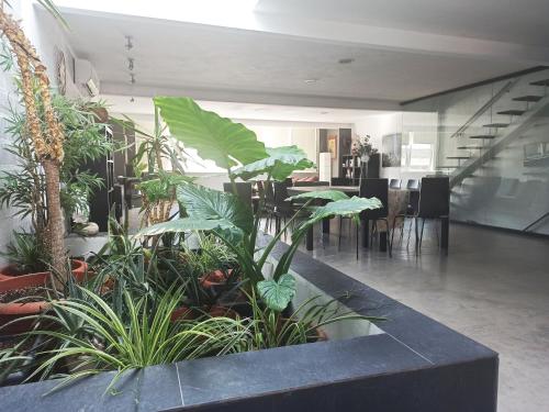 Loft Carrasketa