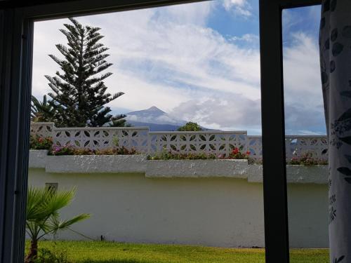 Luminoso y acogedor estudio zona botánico con vistas al Teide