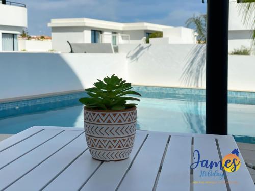Luxurious Villa Private Pool La Marina Urb Lm3