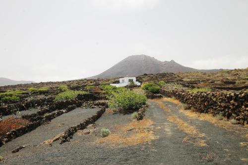 Manoa Eco House