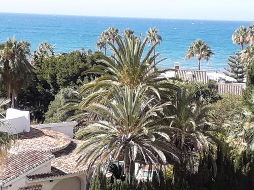 Marbella. Playa Alicate