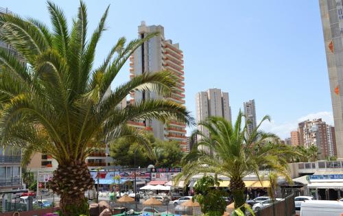 Margarita Apartment Benidorm