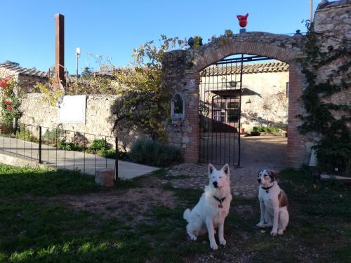 Mas Del Llop Blanc - Dog friendly Hotel Rural - B&B