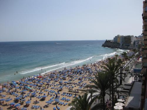 Mediterraneo