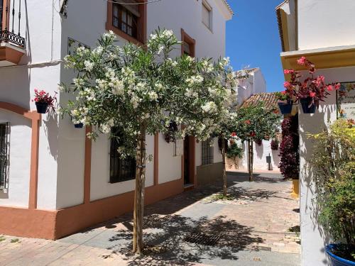 Mi Casita de Pueblo Centro Histórico