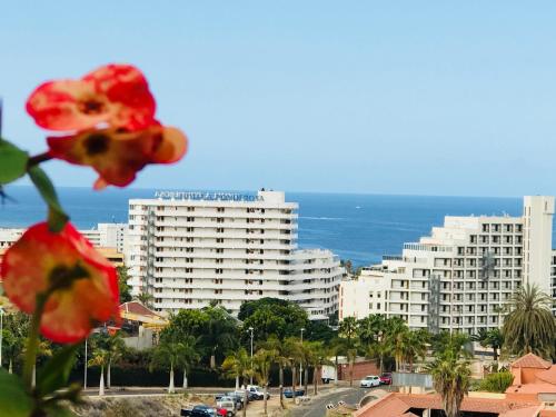 Smart apartment ocean view