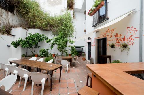 Oasis Backpackers  Hostel Granada