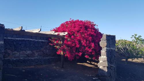 Oasis Vasiliko - Relax and Vacaciones Lanzarote