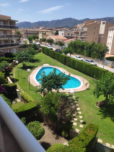 Oliveres Iii