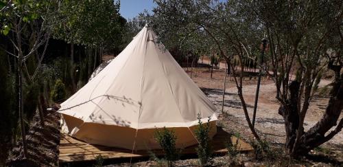 Pachamama ecocamping