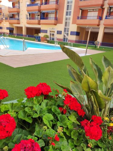 Paraiso Sol Lovely 1 bedroom in Torrox Costa