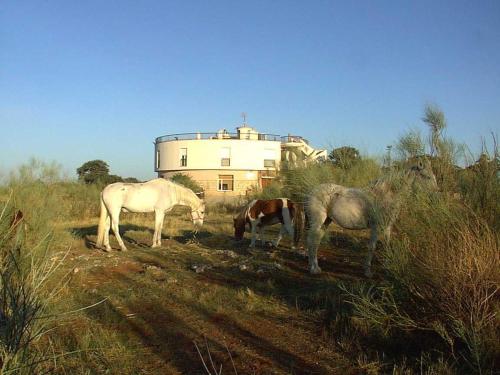 Hotel Paraje La Lambra