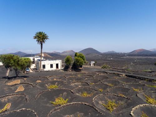 Petit La Geria Lanzarote