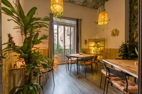 Social - kitchen home - apartment Madrid