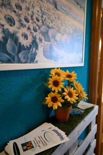 Sunflower Salamanca