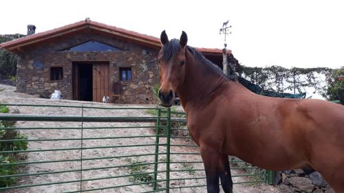 Casa rural y fincaTenerife Relax And Enjoy