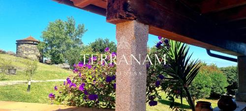 Terranam Wellness