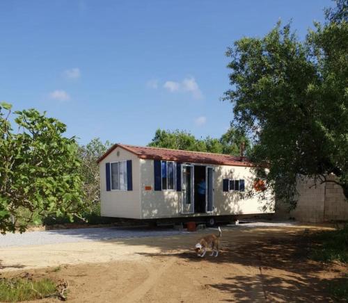 The Farm Tiny House - Tiny Casa