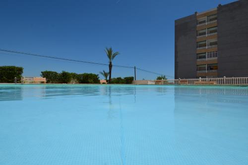 Tourist Rental Paco Apartment, community pool Rocio Mar Torrevieja