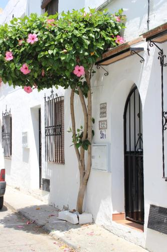 Townhouse in Punta Lara