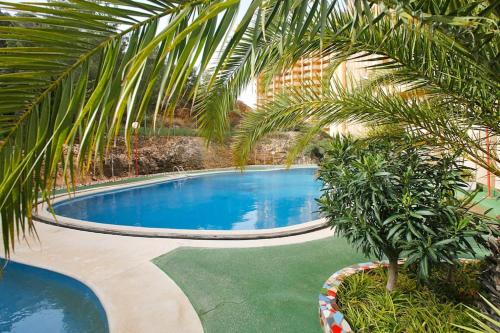 Viena apartment with pool in Benidorm