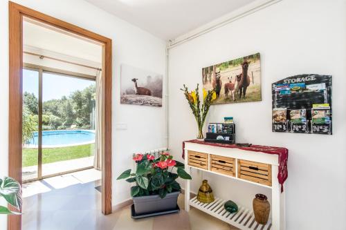 Villa Can Llamas Rent Per Week