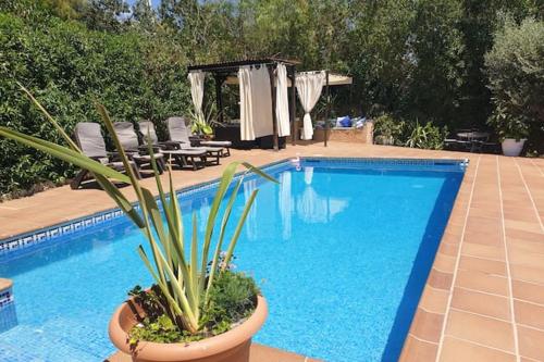 7 bedrooms villa with private pool jacuzzi and enclosed garden at Olivella