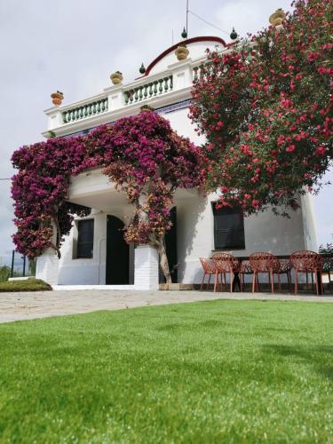 Villa Els Flamencs