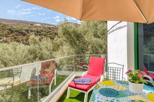 Family Cottage Among Olive Trees