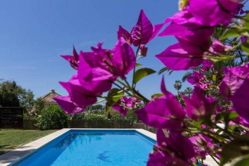 Villa Las Granadas