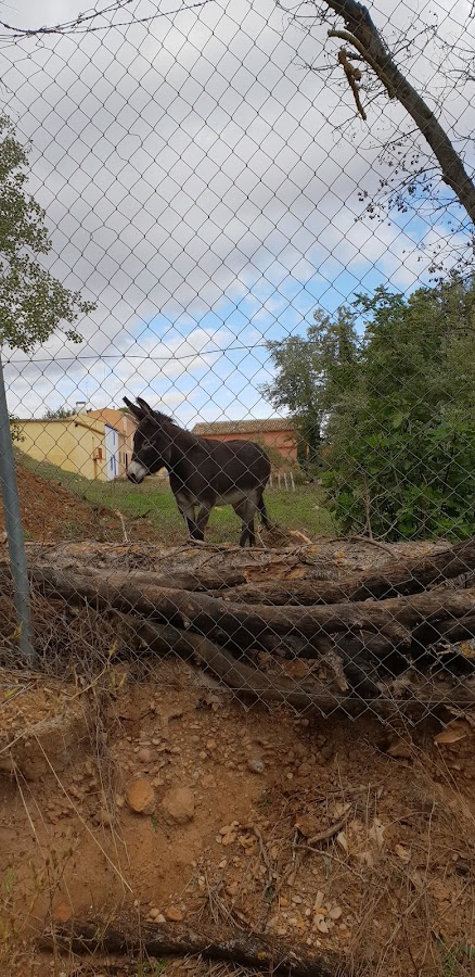 Aldea El Molino Del Concejo