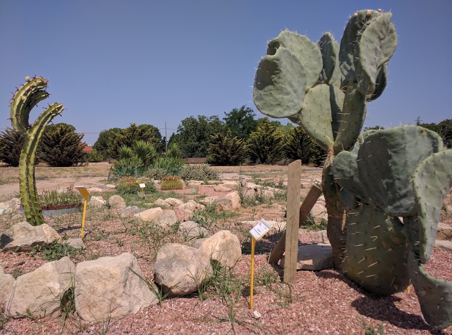 Jardín Botánico de Lérida