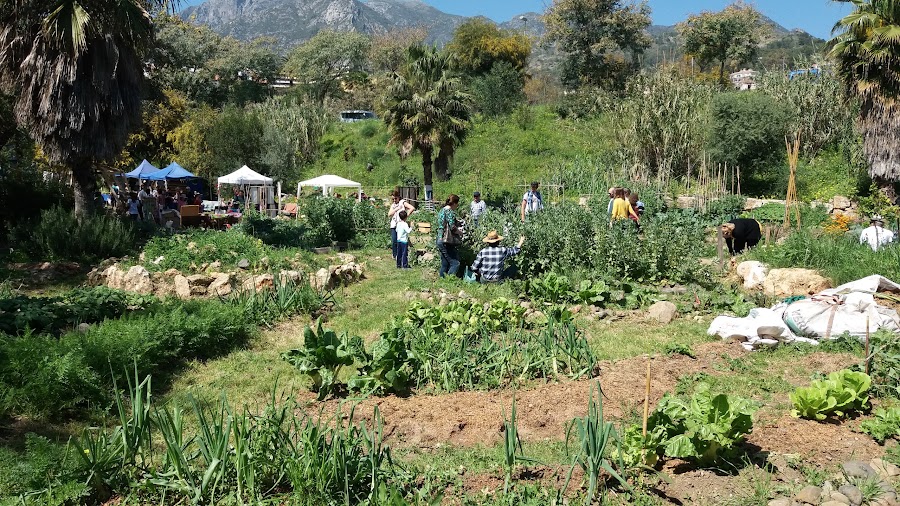 Arboretum Marbella