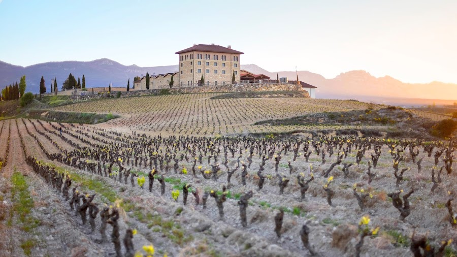 Bodega Hacienda López De Haro