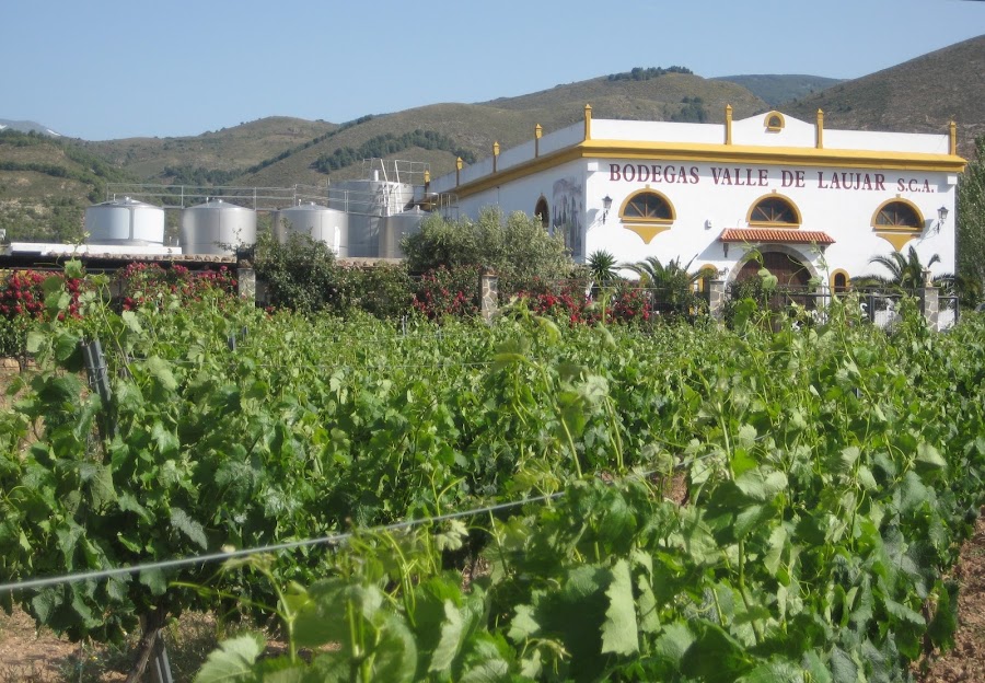 Bodegas Valle De Laujar