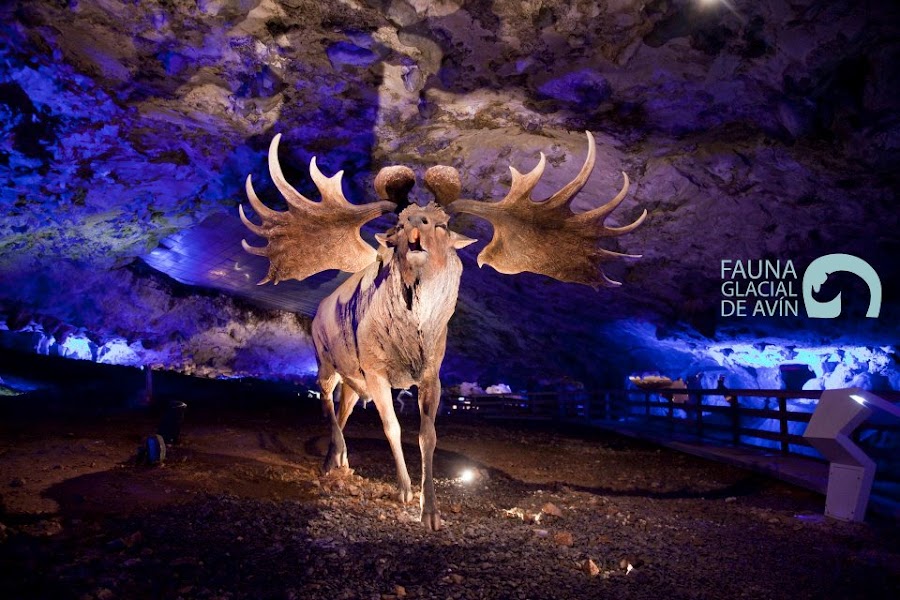 C. I. Fauna Glacial De Avín Y Cueva De La Peruyal