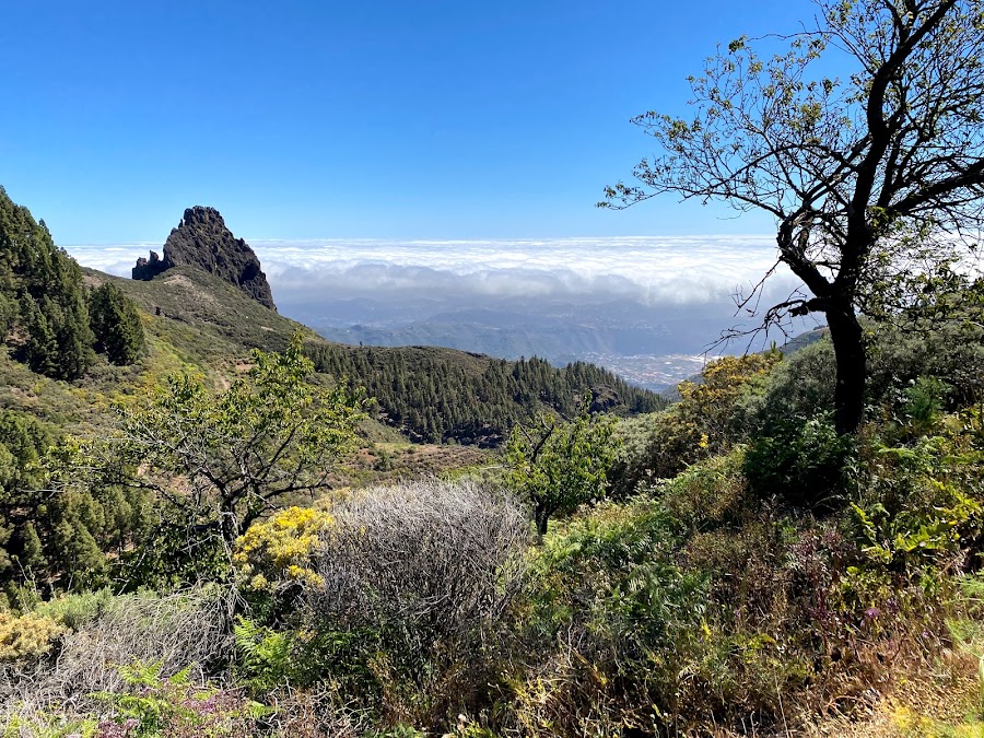 Caldera De Los Marteles