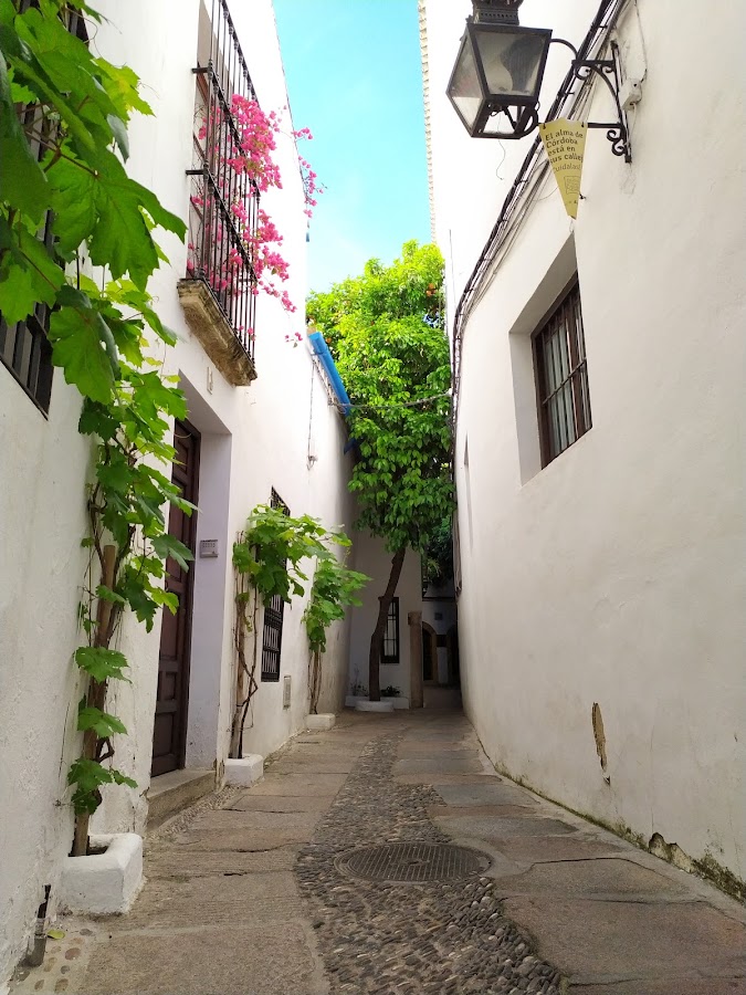 Calleja Del Pañuelo