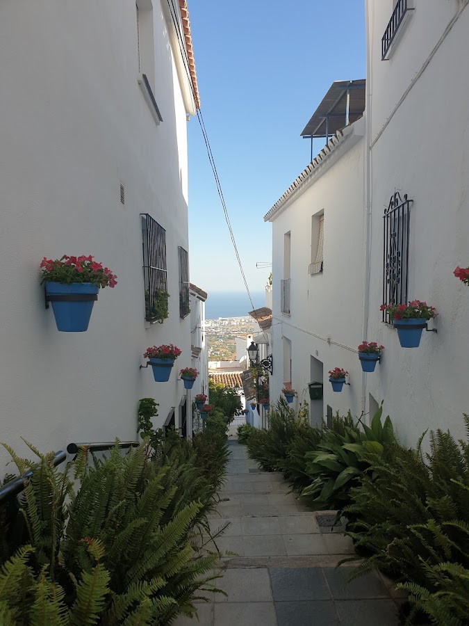 Callejón De Los Gitanos (Mijas  Decorated Street)