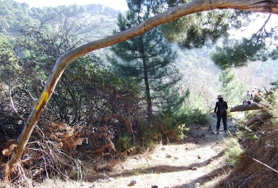 Camino Mozárabe De Santiago De Almería-Granada