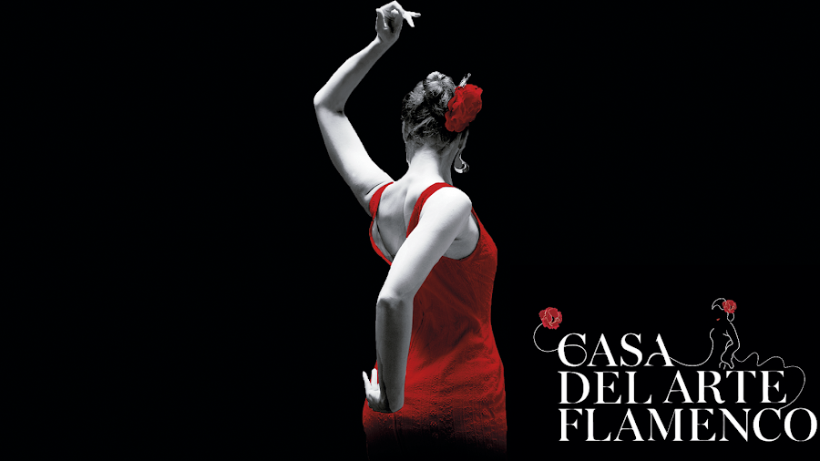 Casa Del Arte Flamenco Granada (Tablao - Espectáculo - Flamenco Show)