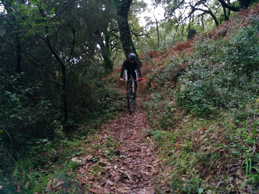 Centro Btt Alcornocales Estrecho De Gibraltar Los Barrios