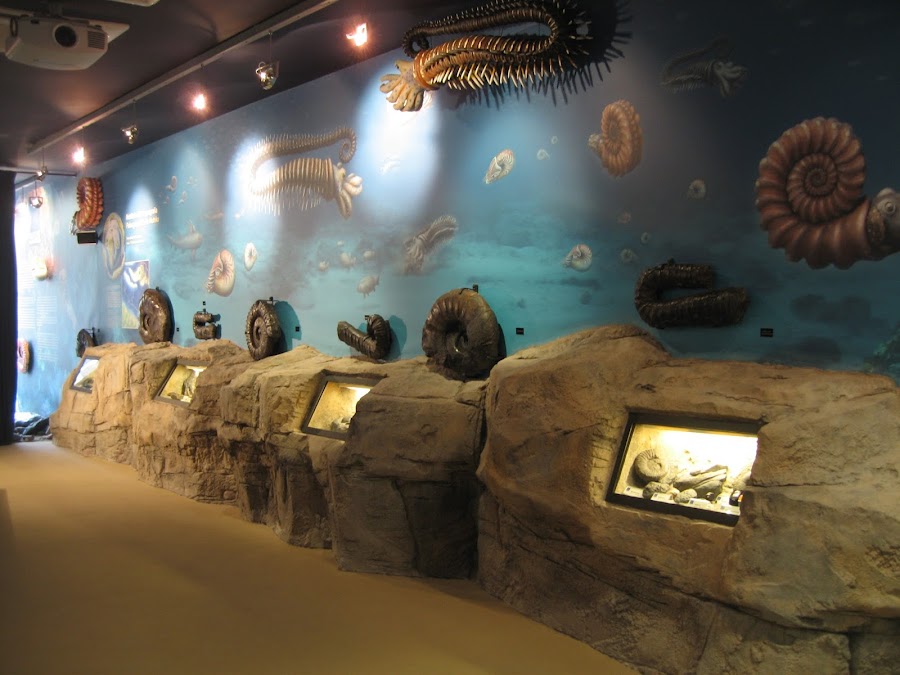 Centro De Interpretación Geológica Nautilus