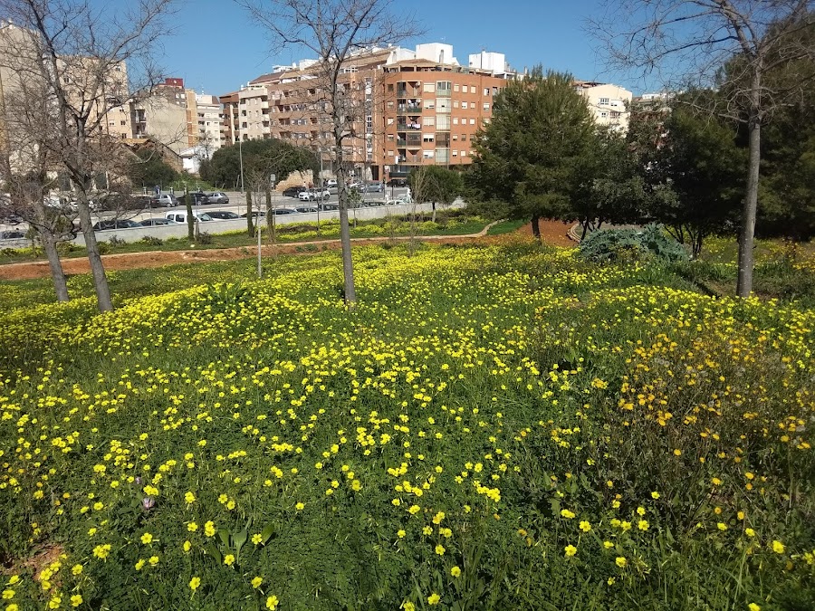 Centro De Interpretación Parque Natural Del Montgó