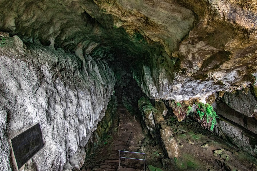 Cueva Del Pindal