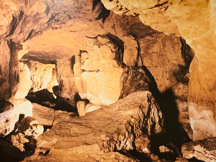 Cuevas De Altamira