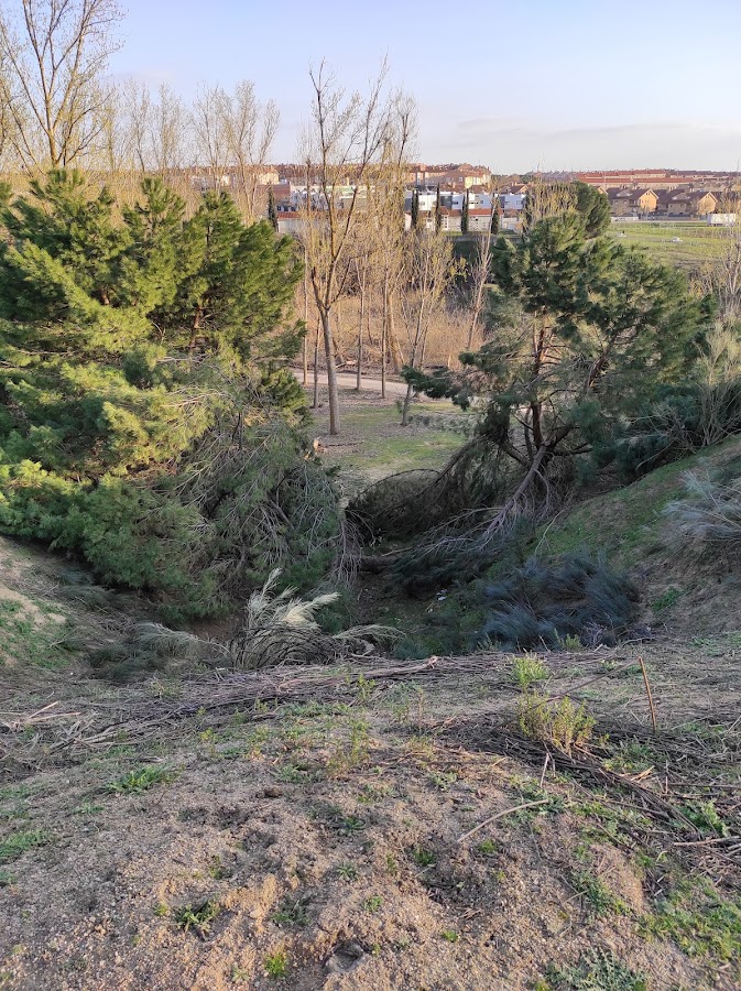 Parque Regional del Curso Medio del Río Guadarrama